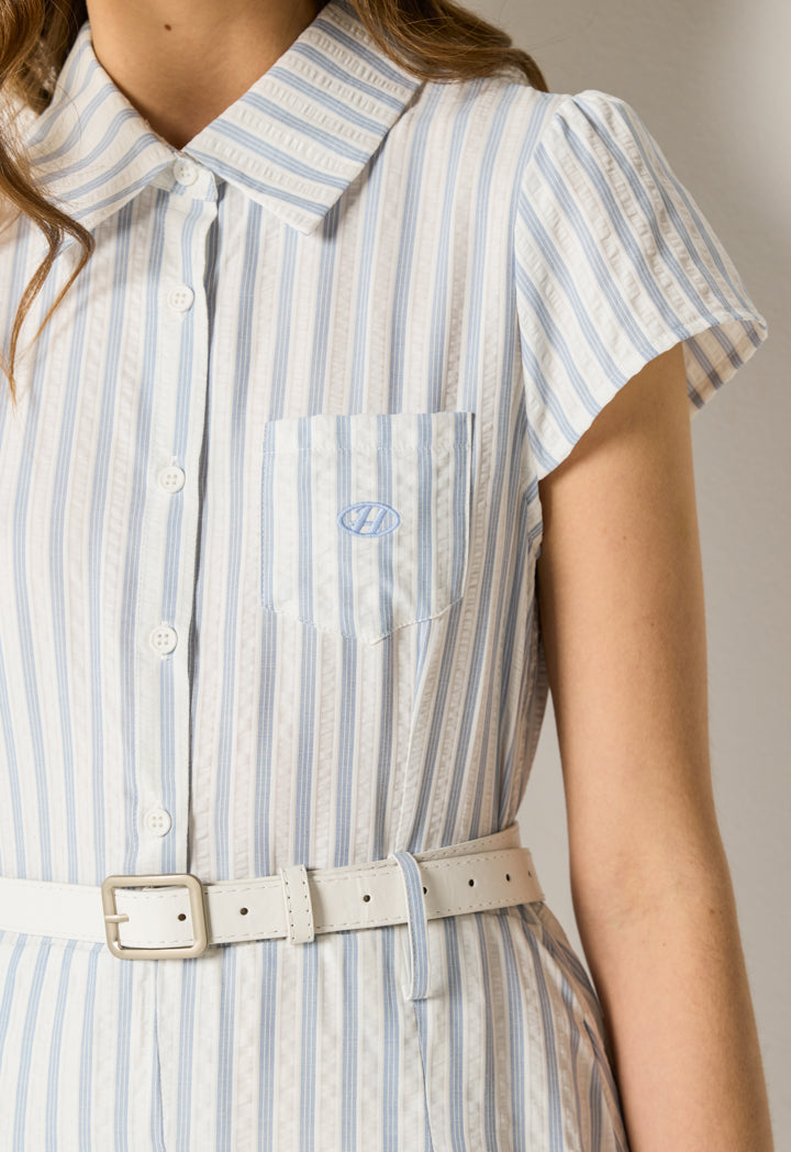 Belted Striped Flared Dress