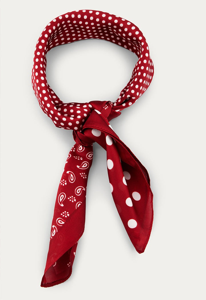 Paisley & Polka-Dot Printed Scarf