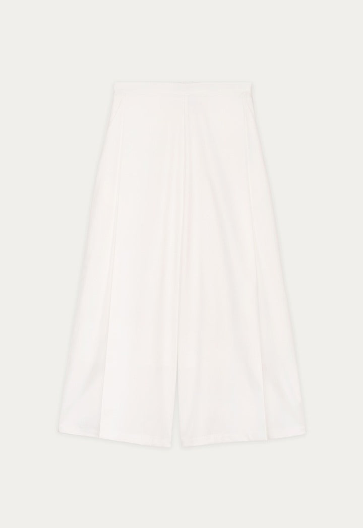 Side Pleated High Waist Trousers