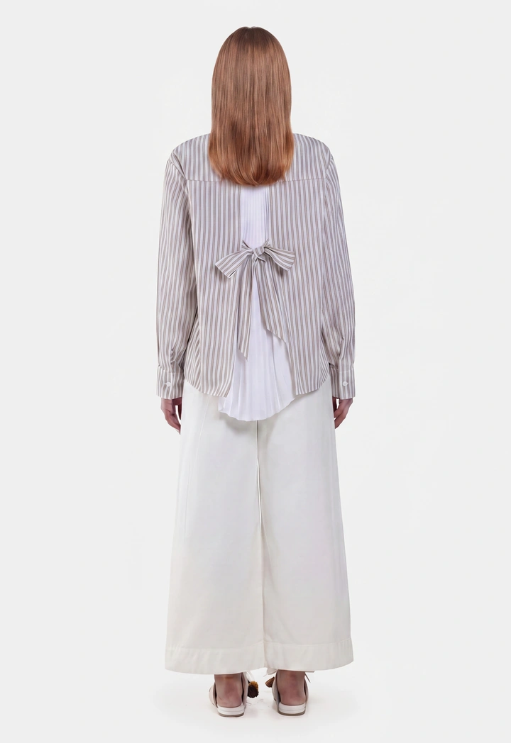 Striped Shirt with Back Pleats and Tie