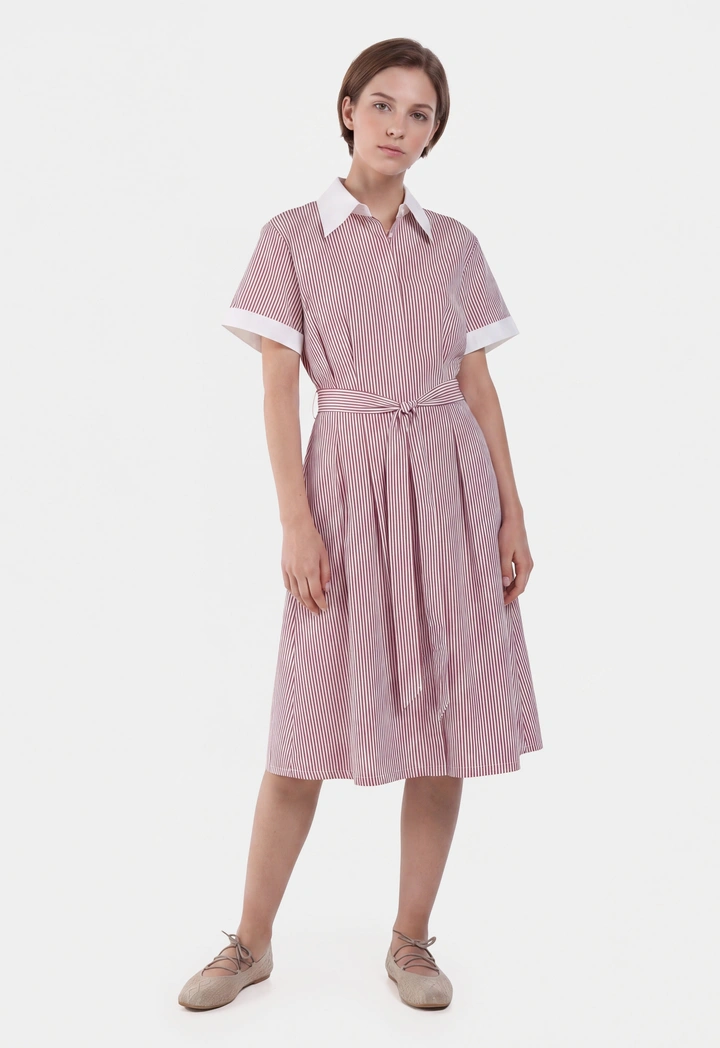 Pleated Belted Striped Shirt Dress