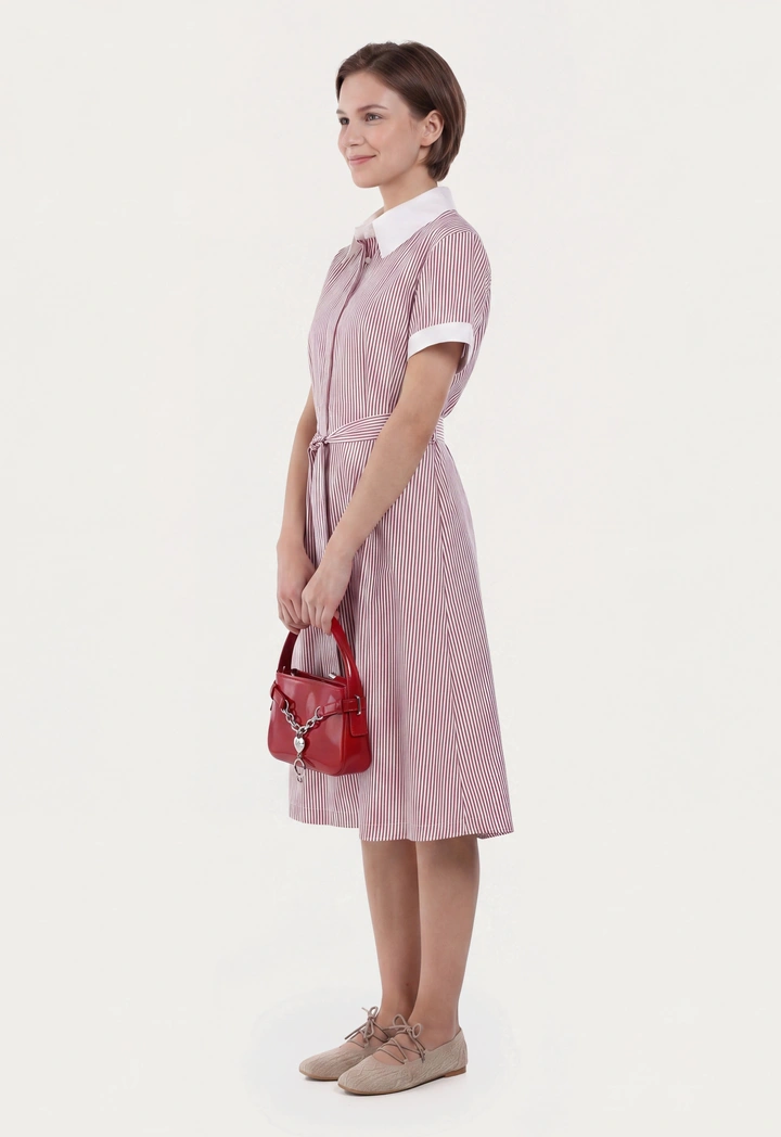 Pleated Belted Striped Shirt Dress